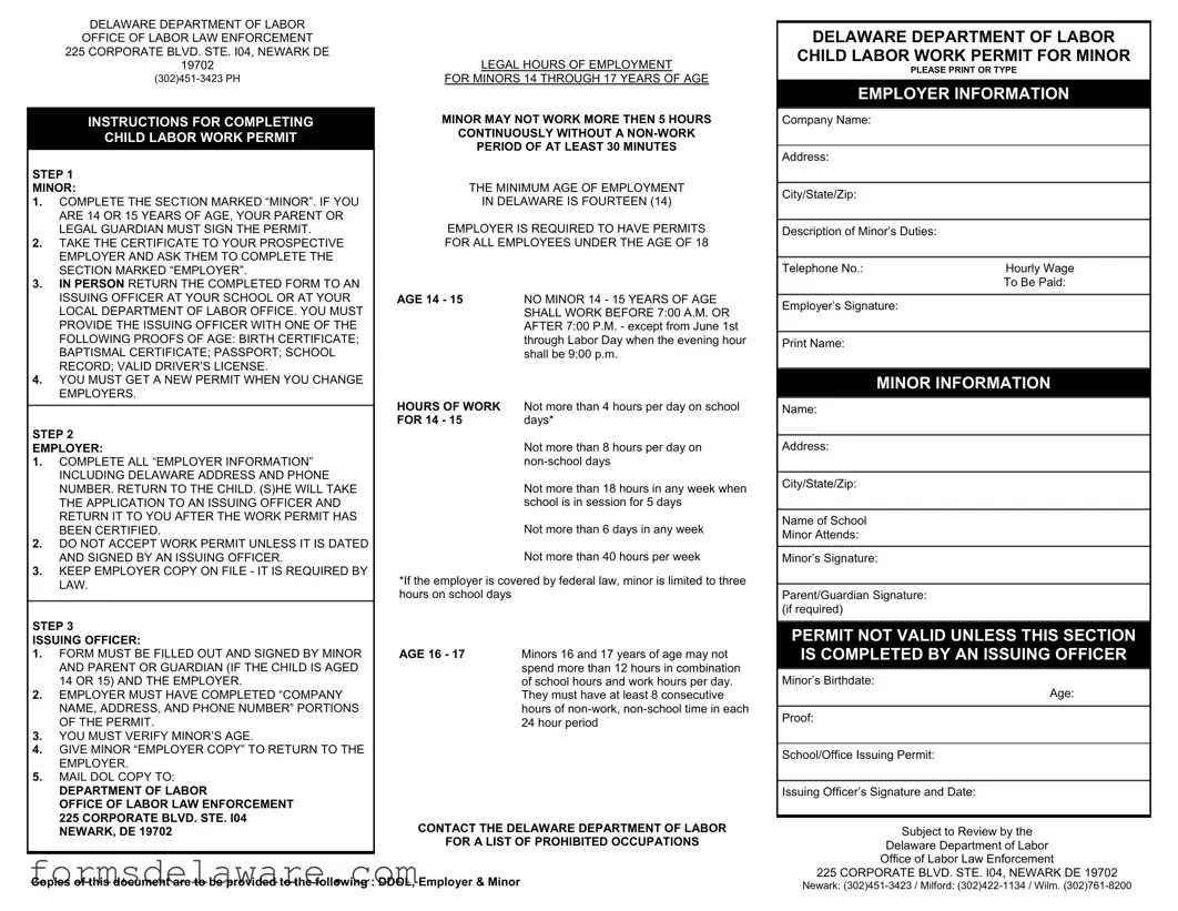 Fill a Valid Delaware Work Permit Form