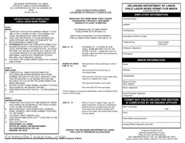 Fill a Valid Delaware Work Permit Form